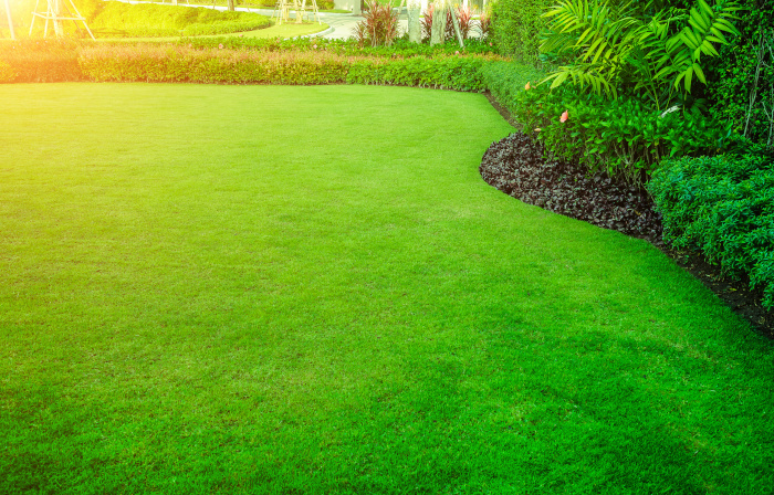 Professional Lawn Care - Lawn Services - Bismarck, ND - Mandan, ND